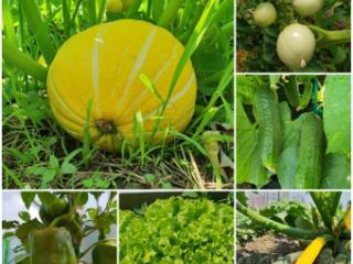 2-этажный дом, 100 м², 30 соток