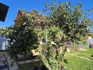  коттедж, 30 м², 6.6 соток