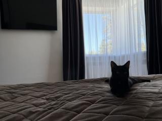  дом, 100 м², 14 соток