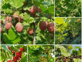 2-этажный дом, 100 м², 30 соток