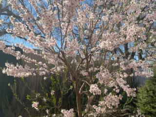 3-этажный коттедж, 307.6 м², 17.6 соток