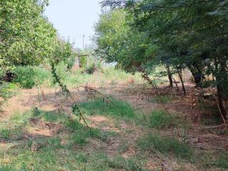  дом, 47.4 м², 20 соток