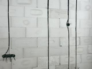  дом, 120 м², 10 соток