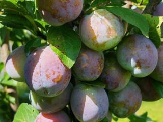 2-этажный дом, 140 м², 12 соток