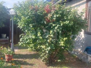 1-этажный дом, 58.5 м², 15.99 соток