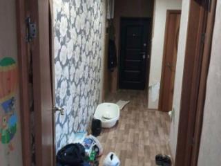 2-комн. квартира, 44.1 м², 2/2 этаж