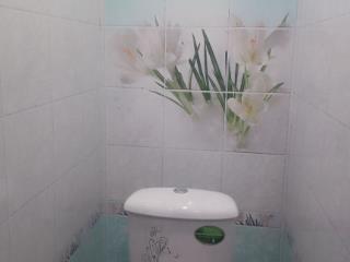  дом, 108 м², 10 соток