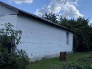  дом, 110 м², 24 сотки