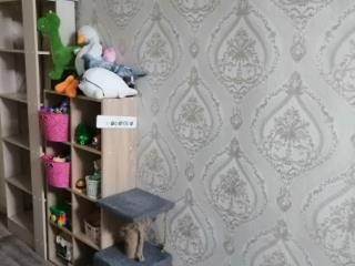  дом, 55.6 м², 15 соток