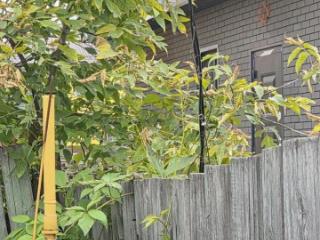 1-этажный дом, 68.8 м², 4 сотки