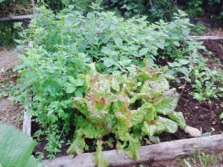 2-этажный дом, 61.5 м², 10.51 соток