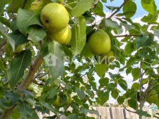 2-этажный дом, 103.5 м², 8.4 соток