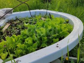 1-этажный дом, 27 м², 6 соток