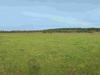 1-этажный дом, 78.8 м², 10 соток