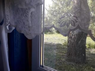 1-этажный дом, 52 м², 50 соток