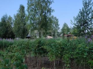  коттедж, 40 м², 6.1 соток