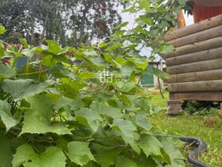 1-этажная дача, 35 м², 5 соток