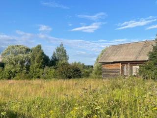  дом, 65 м², 50 соток