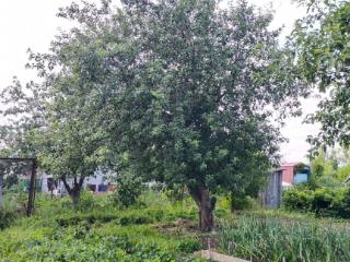  дом, 12 м², 6 соток