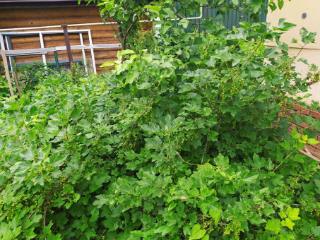 2-этажный дом, 97.7 м², 3.6 сотки