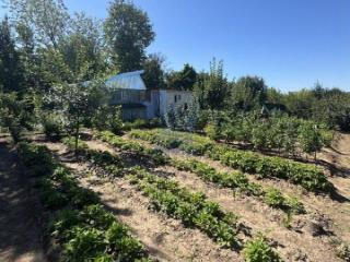 1-этажный дом, 15 м², 5.5 соток