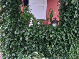 1-этажный дом, 56.4 м², 8.5 соток