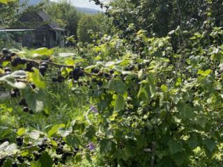 1-этажный дом, 30 м², 8 соток