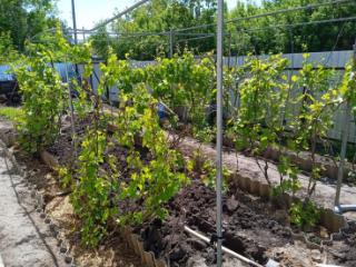 1-этажный дом, 89.8 м², 30 соток