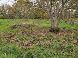 1-этажный дом, 52 м², 26 соток