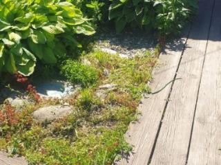 1-этажный дом, 80 м², 25 соток