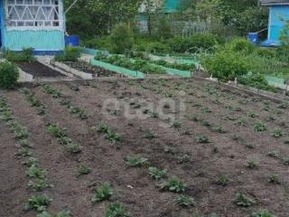 1-этажный дом, 24 м², 5.2 соток