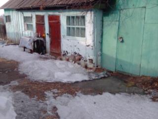 1-этажный дом, 48.9 м², 1 сотка