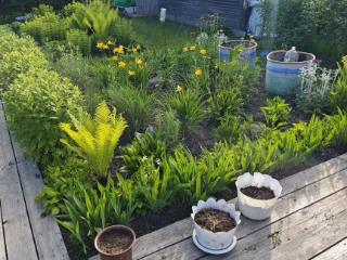  коттедж, 15 м², 6 соток