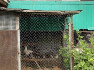 1-этажный дом, 104.65 м², 7.5 соток