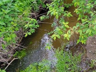  дом, 80 м², 17 соток