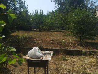 1-этажный дом, 19.8 м², 5.11 соток