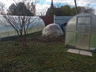  дом, 60 м², 25 соток