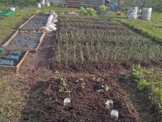  коттедж, 10 м², 6 соток