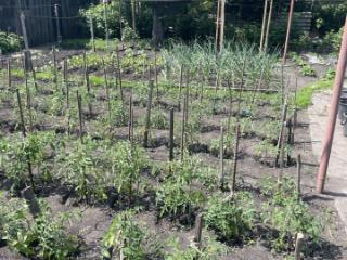 1-этажный дом, 66 м², 6 соток