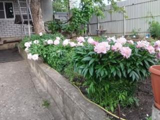 1-этажный дом, 72.9 м², 3.5 сотки