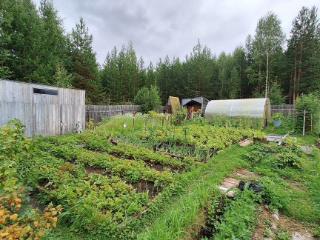  коттедж, 20 м², 5.8 соток