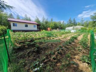 1-этажный дом, 45 м², 17 соток