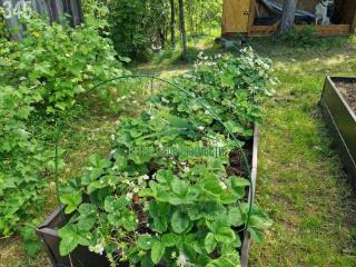 1-этажный дом, 45 м², 17 соток