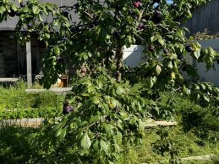 2-этажный дом, 70 м², 7 соток