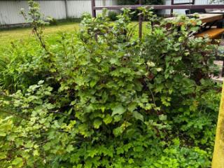 2-этажный дом, 109 м², 8 соток