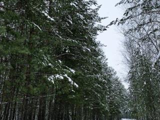 1-этажный дом, 60 м², 4 сотки