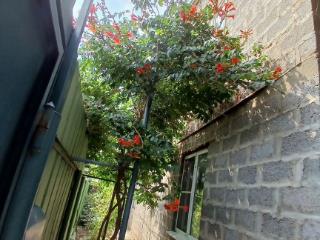  дом, 135.8 м², 6 соток