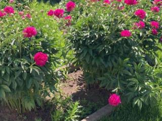 1-этажный коттедж, 130 м², 10 соток