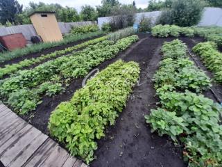 1-этажный дом, 35 м², 6 соток