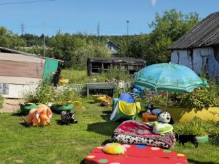  дом, 32.5 м², 20.2 соток